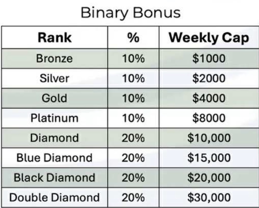 Binary Bonus Structure - Earn from both legs of your team