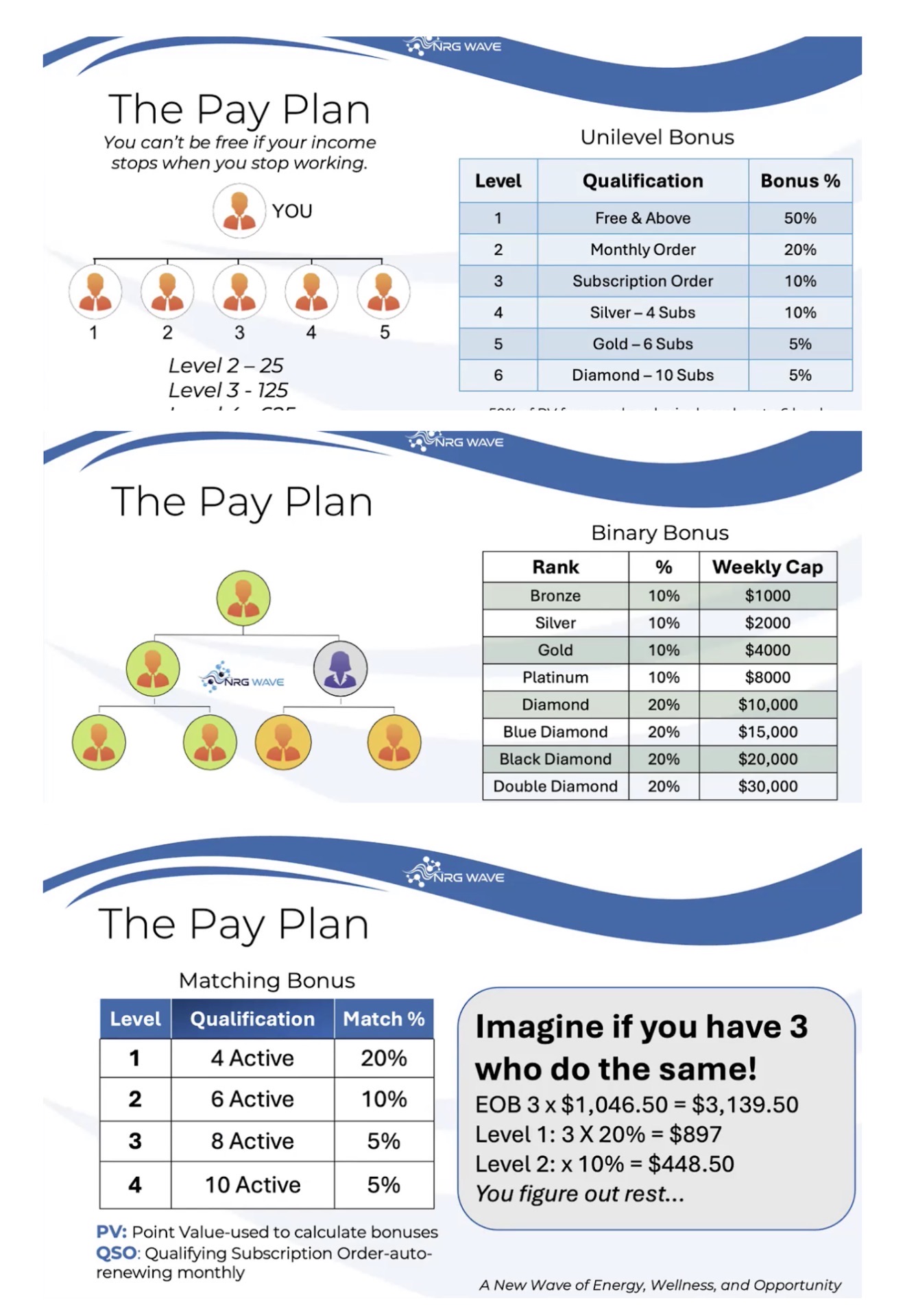 The Pay Plan - Your roadmap to wealth